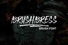BRUSHBRESS