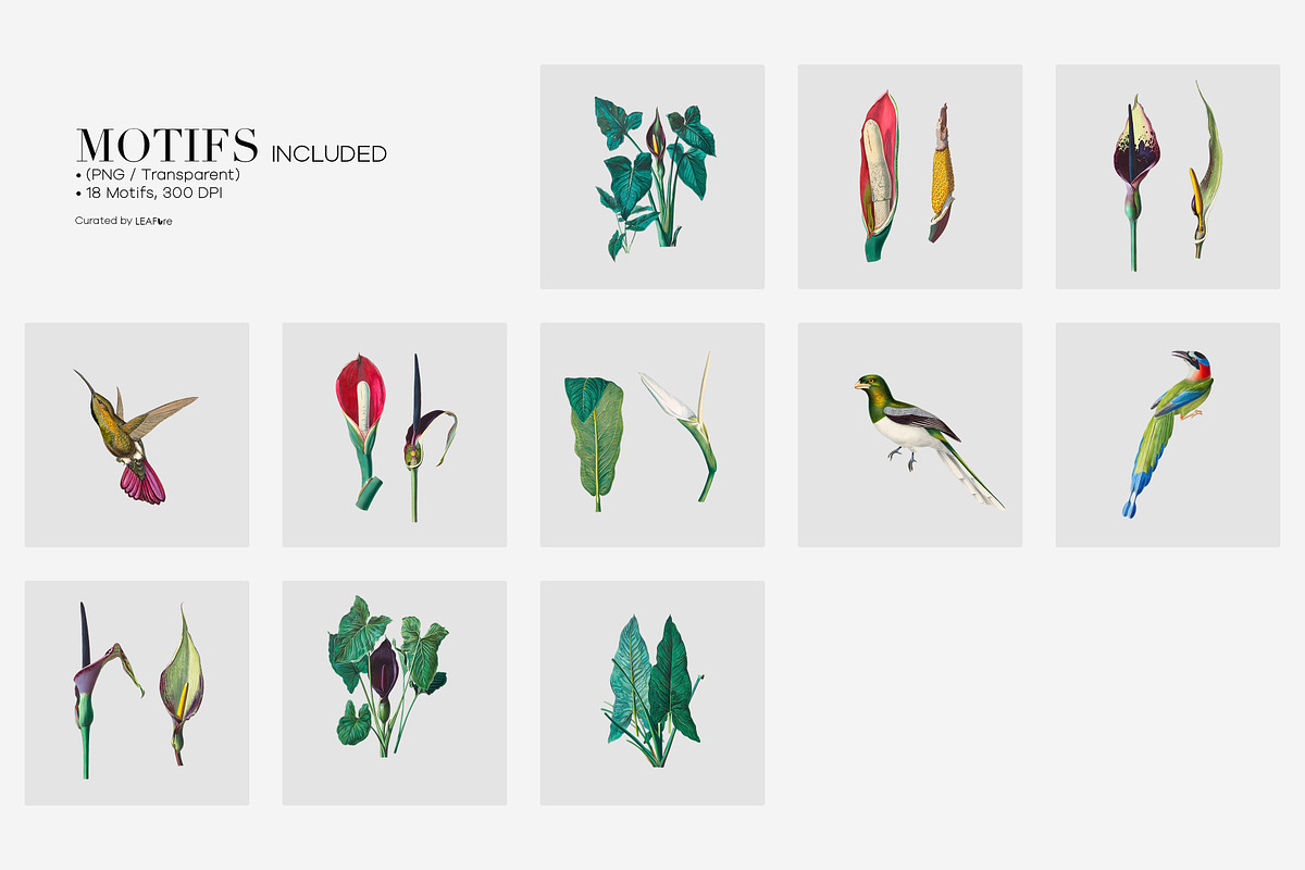 Exotic Tropical Patterns & Motifs, a Pattern Graphic by LEAFure (Photo 8 of 13)