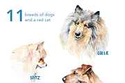 Watercolor dog breeds pack, an Animal Illustration by dm_art (Thumbnail 5 of 6)