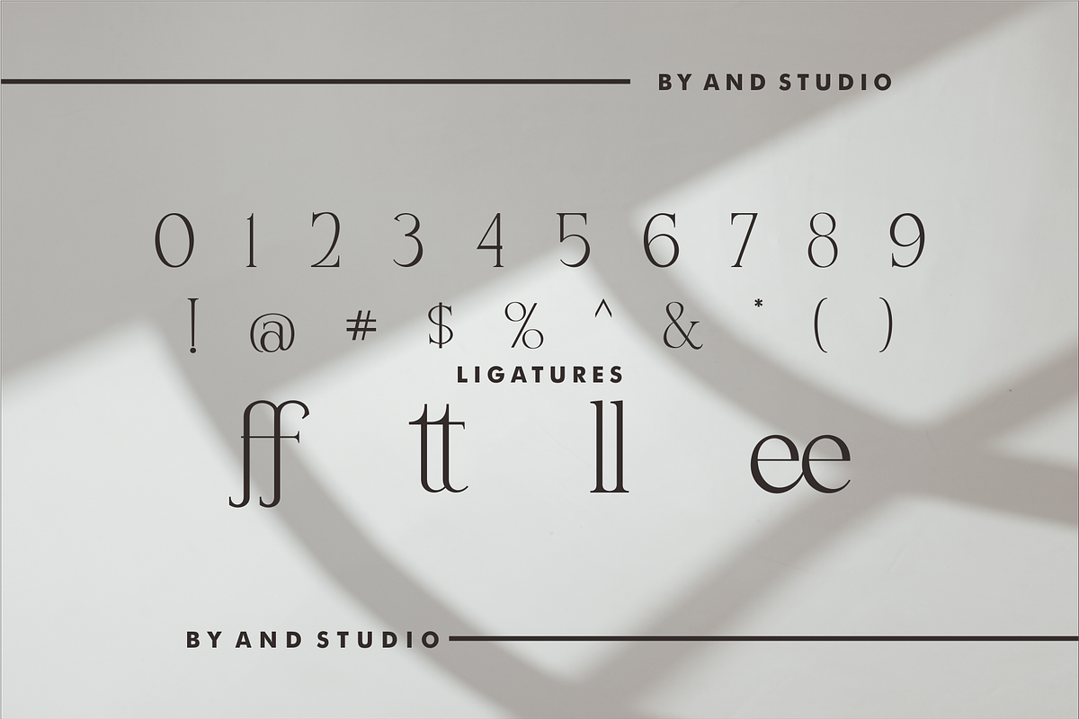 Quiffed Flicker, a Serif Font by And Studio (Photo 16 of 16)
