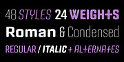 Bourgeois Rounded, a Sans Serif Font by Barnbrook Fonts (Thumbnail 7 of 9)