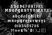 Haqnia Hipster Font, a Handwritten Font by Authentic Studio (Thumbnail 7 of 7)