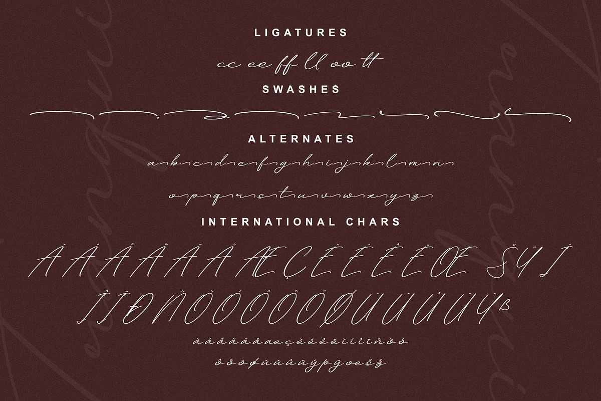 Tranquil Euphoric A Modern Font Duo, a Serif Font by Storytype Studio (Photo 14 of 15)