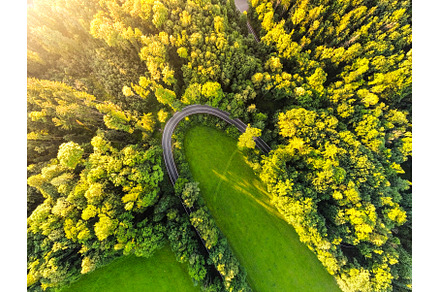 Road serpentine in the forest from, a Transportation Photo by pytyczech