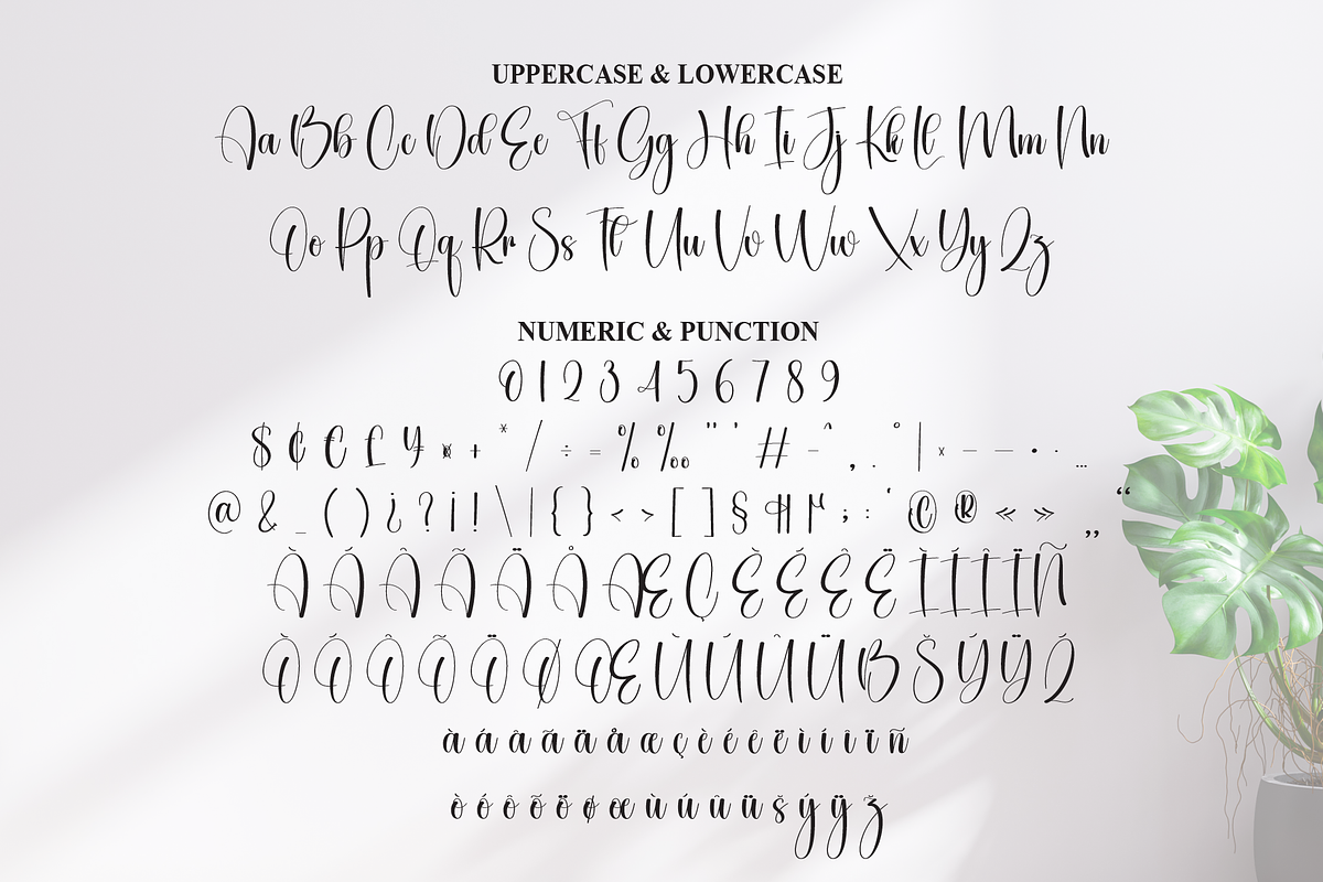 Bilateral | Script Font, a Handwritten Font by Scratchones (Photo 7 of 9)