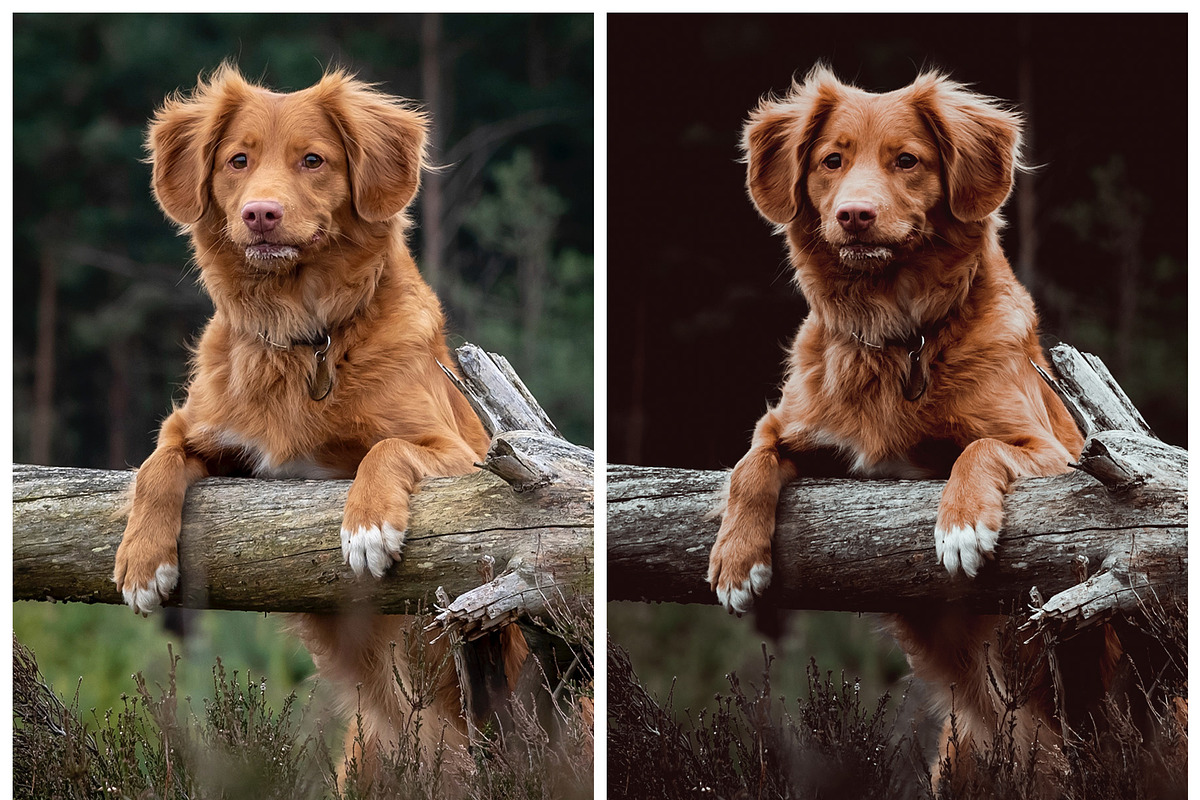 Moody Lightroom Presets, a Preset Add-On by artboard1 (Photo 4 of 7)