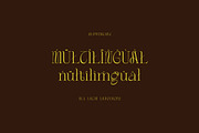 Gordon Tucker Stylish Serif, a Serif Font by Cruzine (Thumbnail 6 of 8)