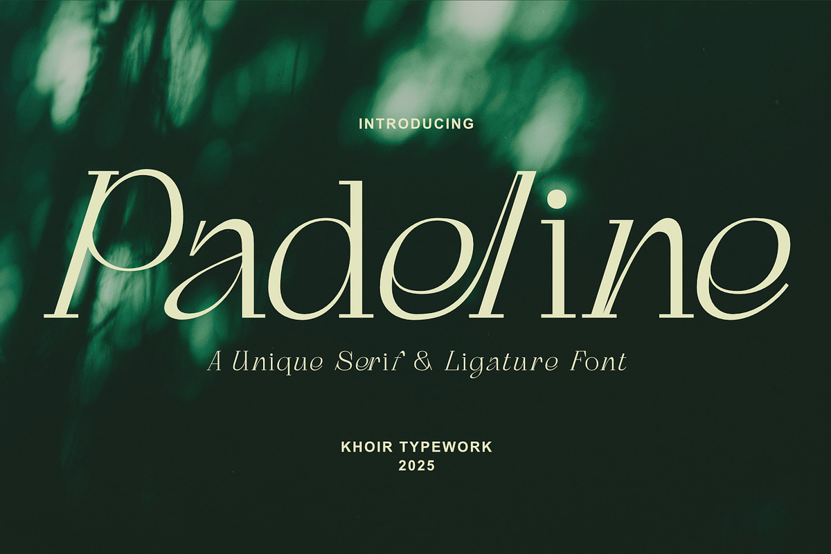 Padeline - Unique Serif, a Serif Font by Khoir (Photo 1 of 9)