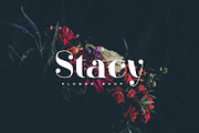 ARK Reunio - Modern Serif Font, a Serif Font by Arkara (Thumbnail 3 of 11)