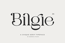 Bilgie - Chique Serif Font