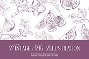 Fig Hand-drawn Botanical Elements, a Decorative Illustration by FDR Studio (Thumbnail 1 of 2)