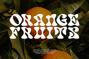Sydney North Coast Bubble Retro Font, a Serif Font by Muntab_Art (Thumbnail 5 of 10)