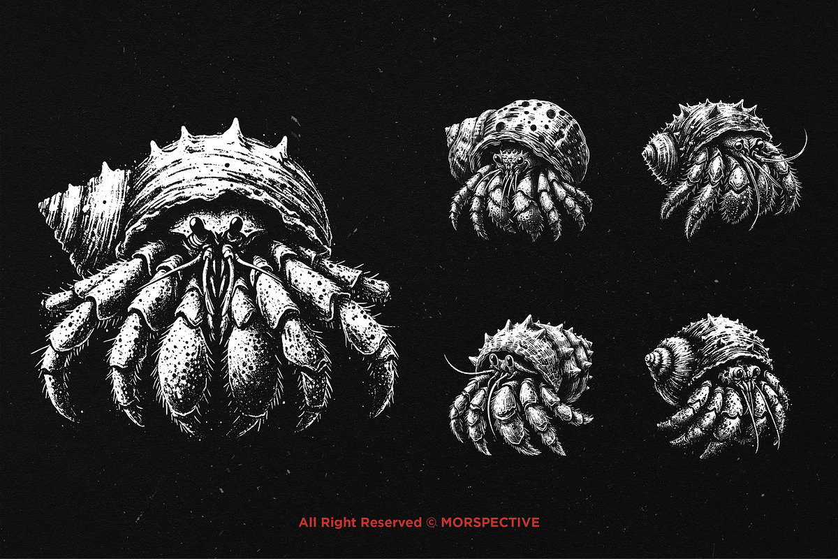 10 Bundle Dark Art Hermit Crab, an Illustration by Morspective (Photo 5 of 7)