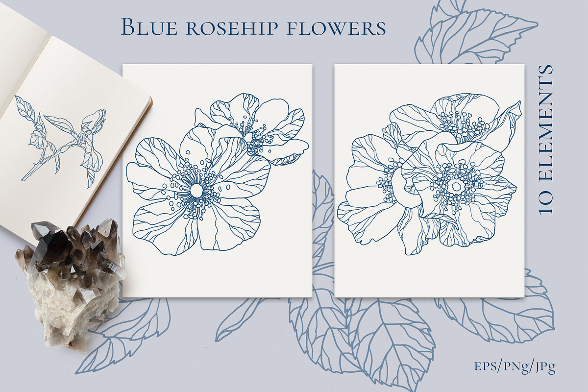Blue rosehip flowers, a Decorative Illustration by LanaDzi (Photo 12 of 12)