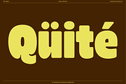 BN Sonic - Bold, Soft & Balanced, a Sans Serif Font by Bnick (Thumbnail 9 of 13)