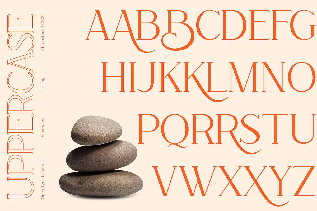Rottering - Modern Serif Typeface, a Serif Font by Absonstype (Photo 3 of 12)