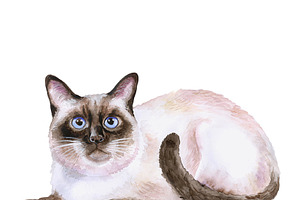 Watercolor Animals Set - CATS Vol. 2