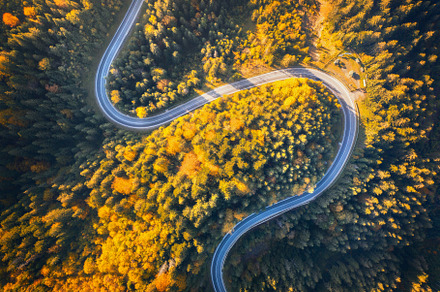 Aerial view of mountain road in beautiful forest at sunset, a Transportation Photo by den-belitsky