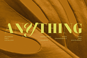 ZT Neue Ralewe Luxury Serif 90 Font, a Serif Font by zelow type (Thumbnail 21 of 24)