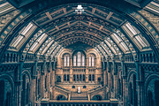 Bundle Lightroom Presets, an Action Add-On by Lavinsky Art Store (Thumbnail 44 of 49)