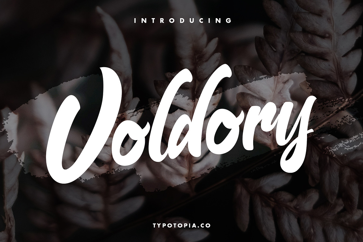 Voldory Modern Script Font, a Script Font by edukka (Photo 1 of 7)