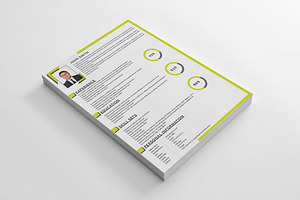 Clean Corporate Resume