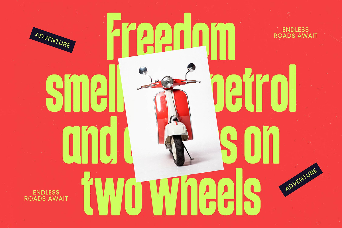Beqarins Sans Serif Tall, a Sans Serif Font by timelesstype.co (Photo 14 of 15)