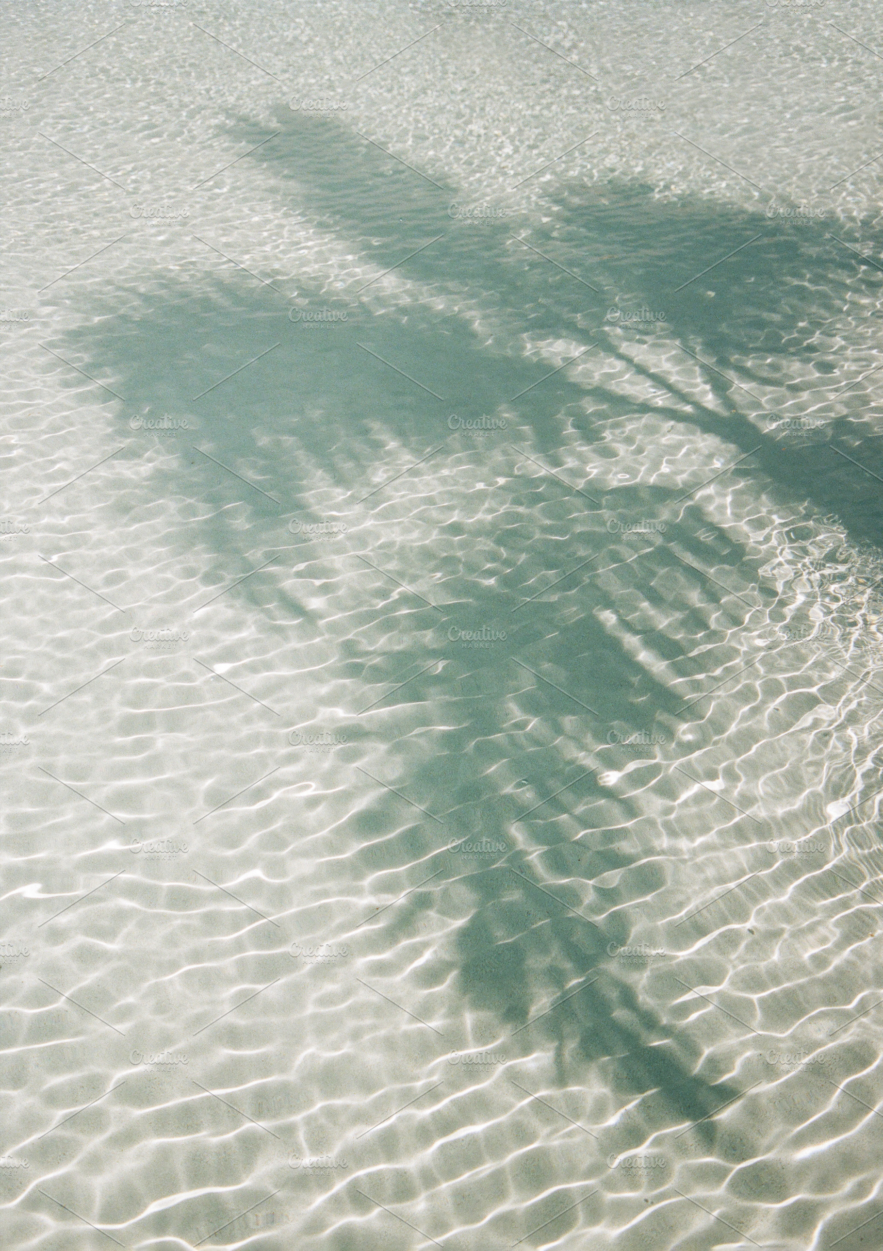 35mmFilm Stock Photo Caribbean Beach, a Nature Photo by Munopia