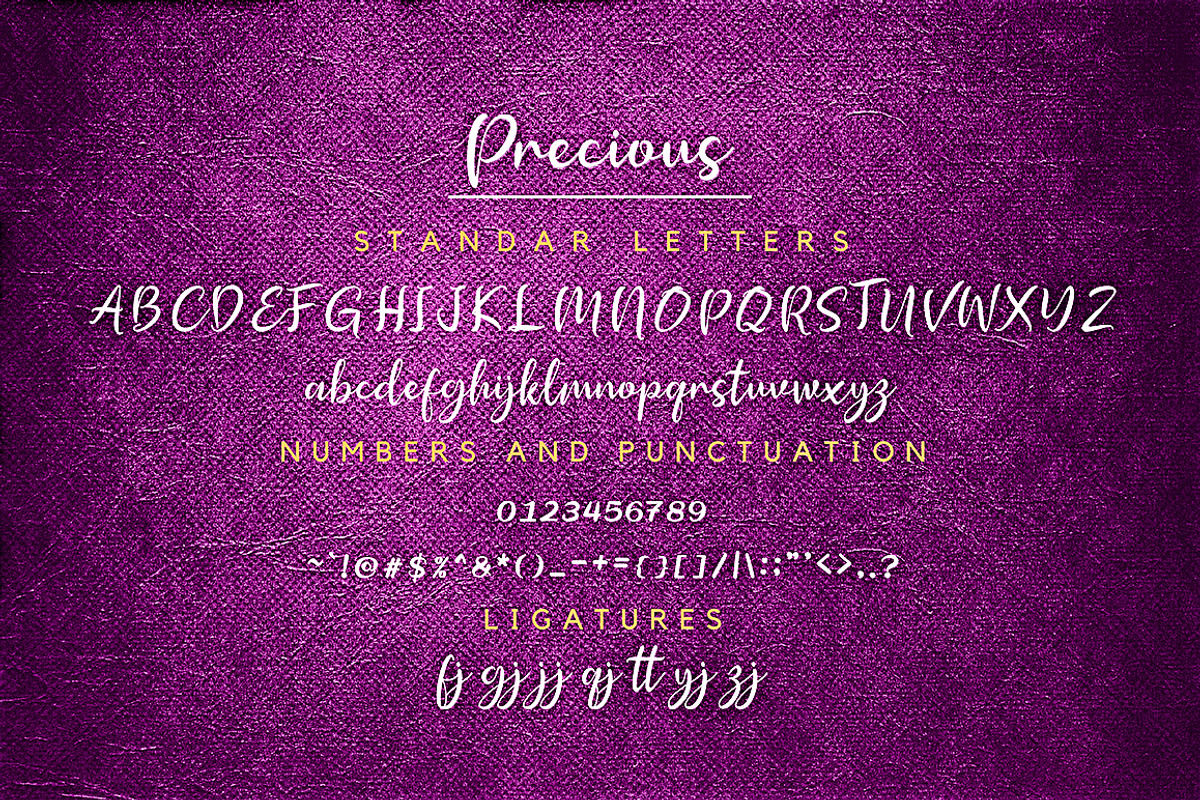Precious Font Script, a Script Font by Ahmad Pkp Studio (Photo 8 of 9)