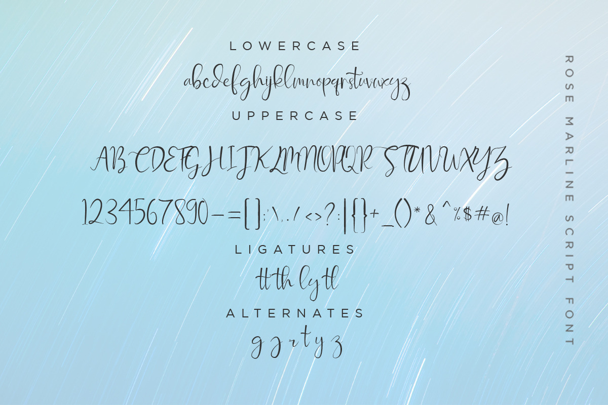 Rose Marline, a Script Font by Say Studio (Photo 13 of 14)