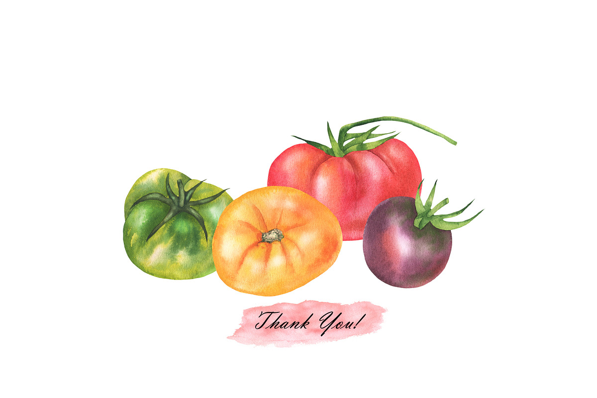 Watercolor Tomatoes, a Food Illustration by OlDm_Shop (Photo 5 of 5)