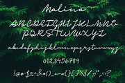 Malina | Script Font, a Script Font by Artstudio (Thumbnail 6 of 6)