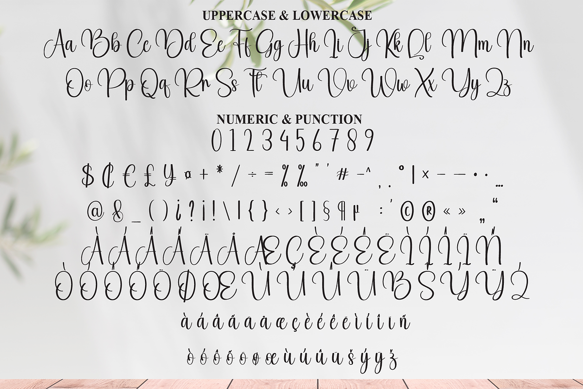 Calligraphy | Script Font, a Handwritten Font by Scratchones (Photo 7 of 9)