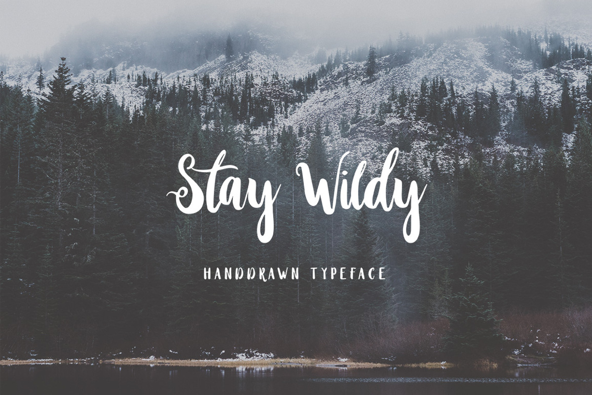 Wildy Wild Font Bundle! preview 3
