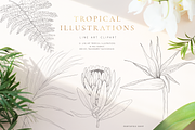 Tropical paradise. Line art set, an Illustration by Pamyatka Shop (Thumbnail 13 of 13)