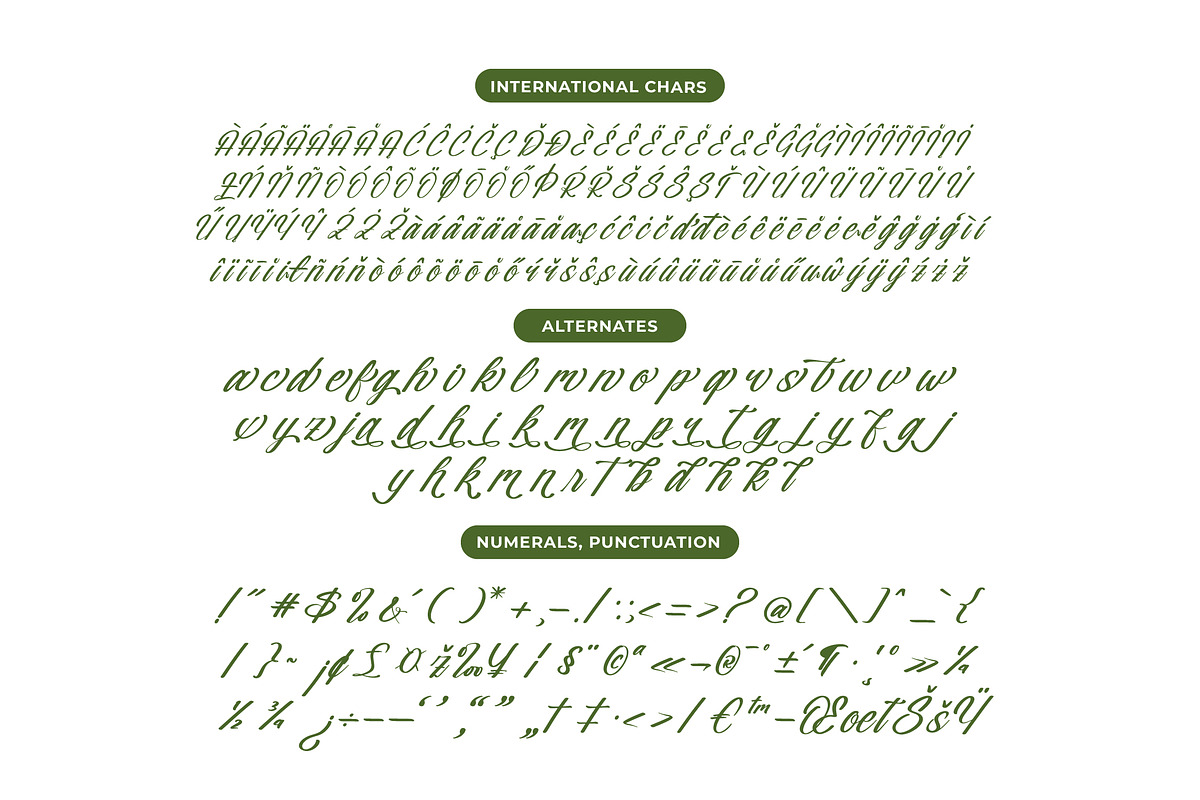 Nostalgic Pictures Calligraphy Font, a Script Font by Letterena Studios Script (Photo 13 of 15)