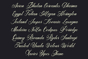 Housing - Classy Script Font, a Script Font by Arendxstudio (Thumbnail 8 of 9)