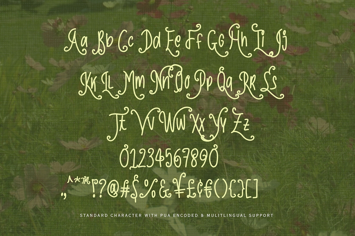 The Graceful Party Handwriting, a Handwritten Font by Sloulyfe (Photo 7 of 11)
