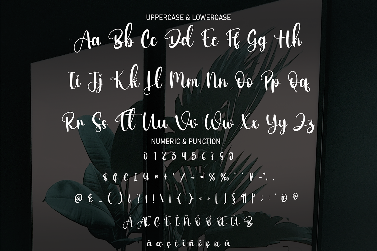 Ballimore | Script Font, a Script Font by Scratchones (Photo 4 of 8)