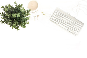 Keyboard, green plant, gold flatlay 