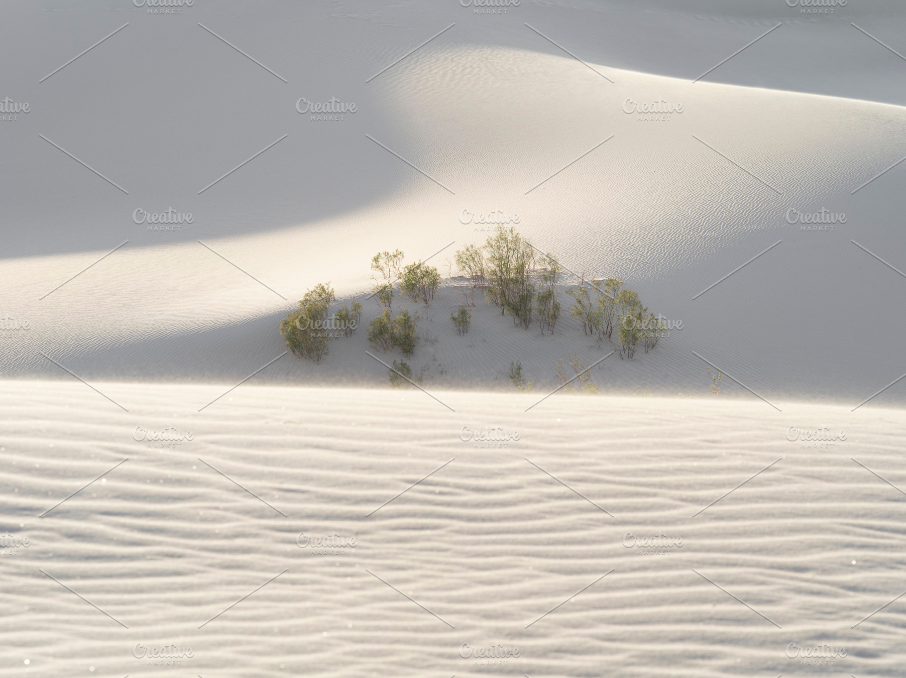 dunes, a Background Photo by dmitryersler