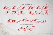 Bonthing Calligraphy, a Script Font by madeDeduk (Thumbnail 3 of 9)