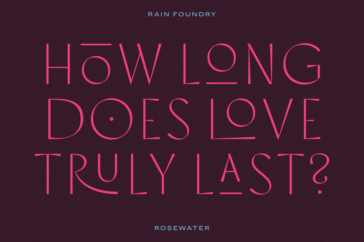 Rosewater (Variable), a Sans Serif Font by Rain Foundry (Photo 6 of 10)