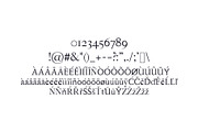 Hagito Serif Font Family Pack, a Serif Font by Creativetacos (Thumbnail 4 of 5)