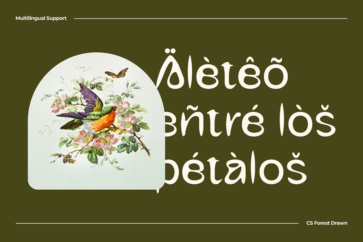 CS Forest Drawn, a Sans Serif Font by Craft Supply Co. (Photo 5 of 8)