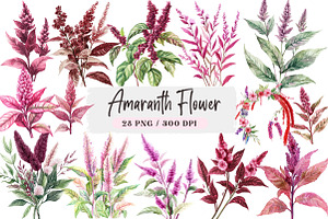 Amaranth Flower Watercolor Png, an Illustration by DreamArtGraphic