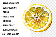 Watercolor Lemon Clipart, an Illustration by SinaCreation (Thumbnail 3 of 7)