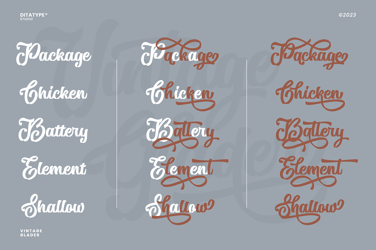 Vintage Glader, a Script Font by Ditatype (Photo 6 of 10)