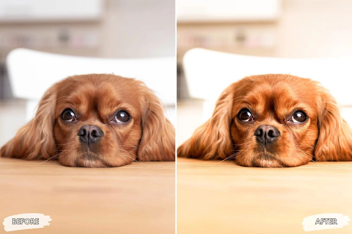 10 Velvet Mocha Lightroom Presets, a Preset Add-On by LucaTheme (Photo 6 of 9)