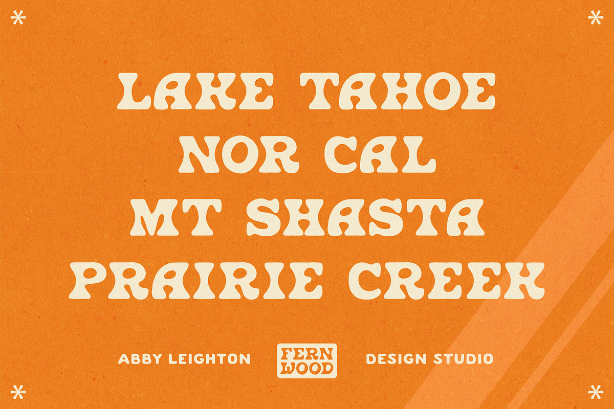 FERNWOOD FERNIE DISPLAY, a Serif Font by Abby Leighton Studio (Photo 3 of 5)
